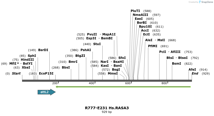 130516_map