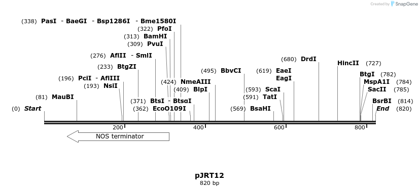 130521_map