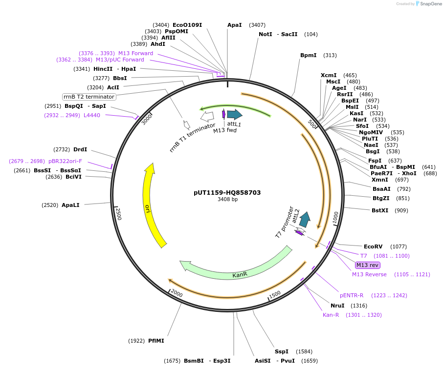 13053_map