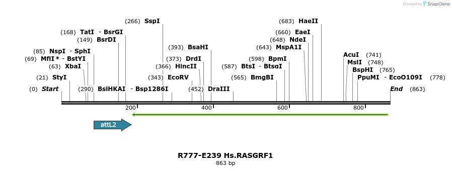 130532_map