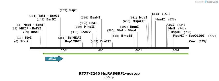 130533_map