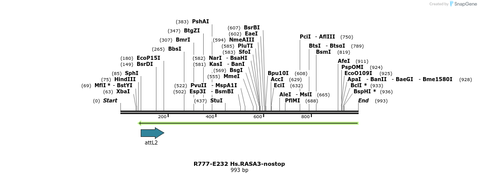 130534_map