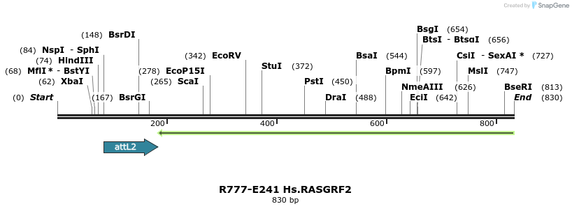130536_map