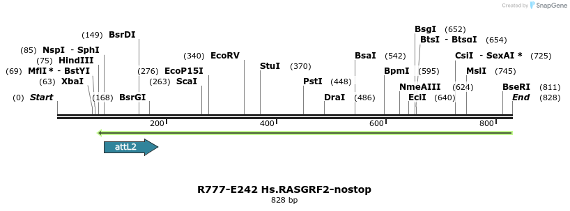 130538_map