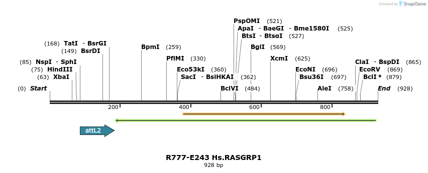 130539_map