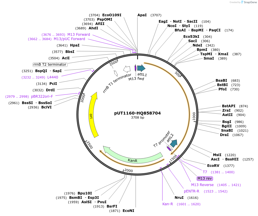 13054_map