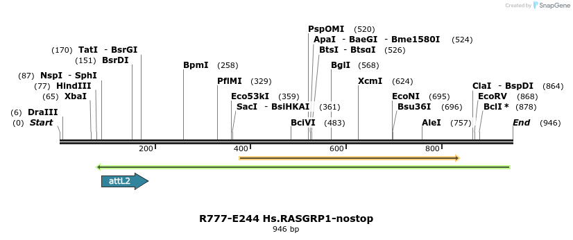 130540_map