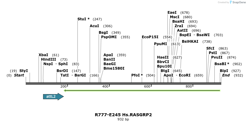 130541_map