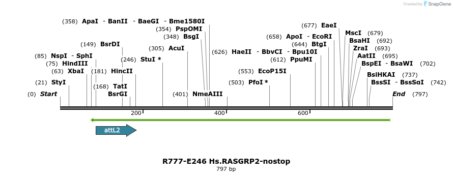 130543_map
