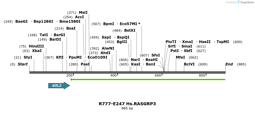 130544_map