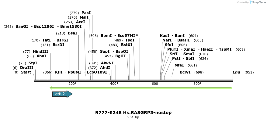 130545_map