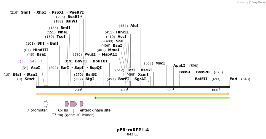 130546_map