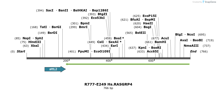 130547_map