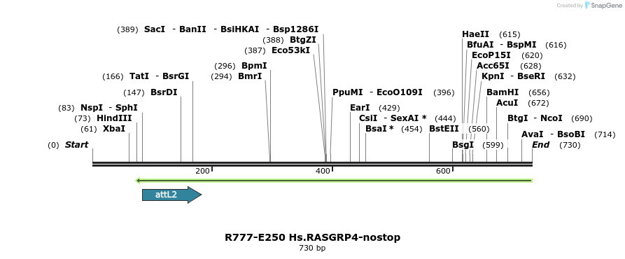 130548_map