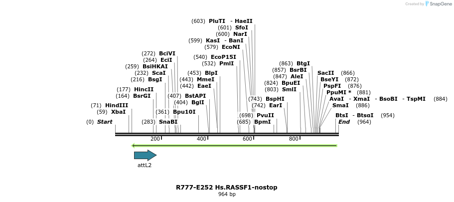 130549_map