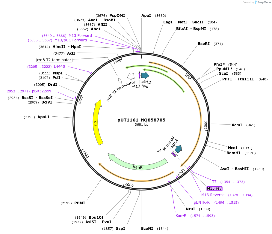 13055_map