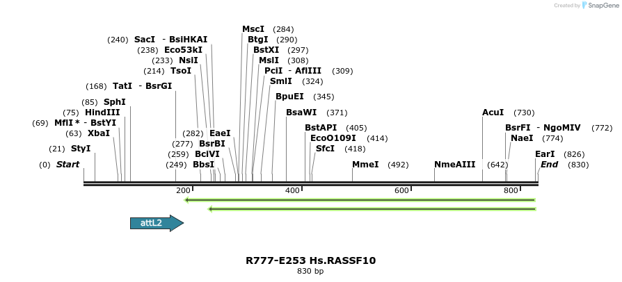 130550_map