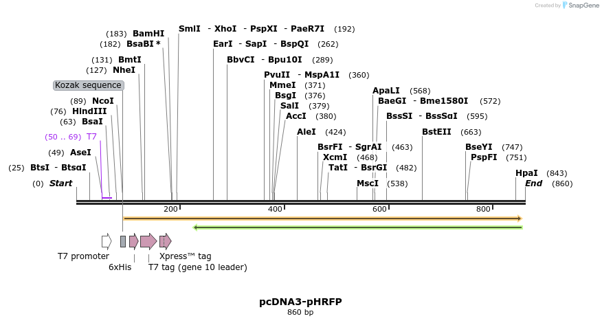 130551_map