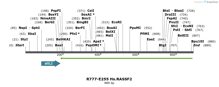 130553_map