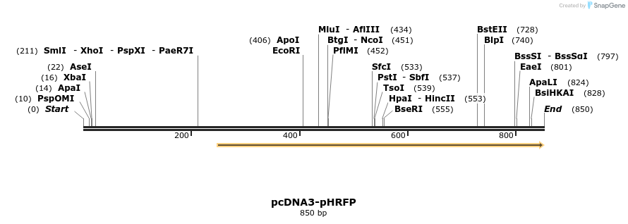 130554_map