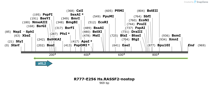 130555_map