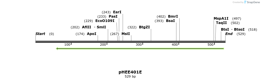 130557_map