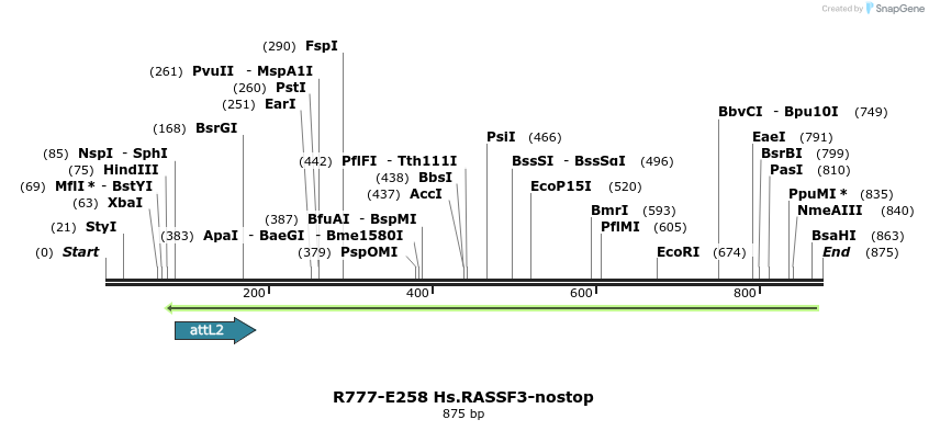 130558_map