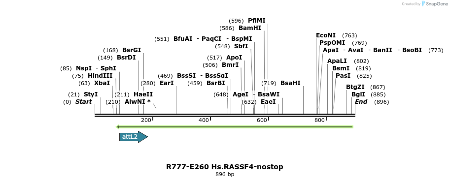 130560_map