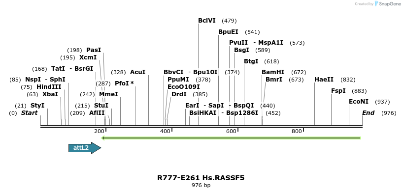 130561_map