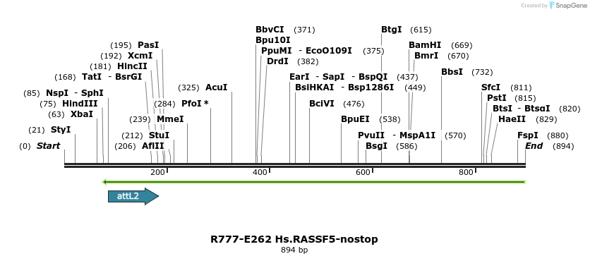 130562_map