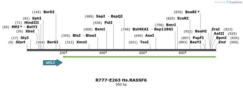130563_map