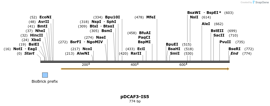 130564_map