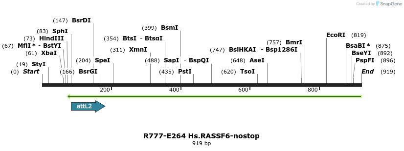 130566_map