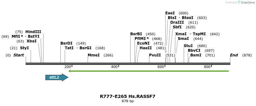 130568_map