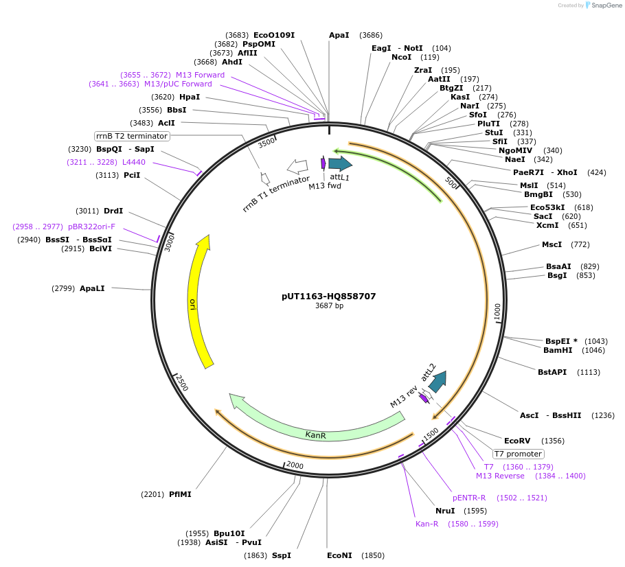 13057_map