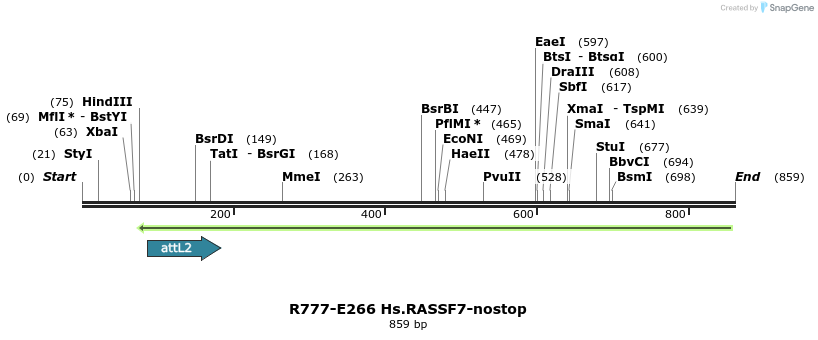 130570_map
