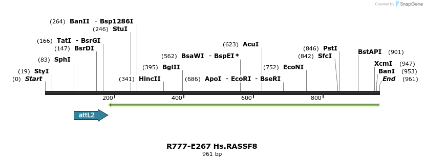 130571_map