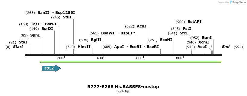 130572_map