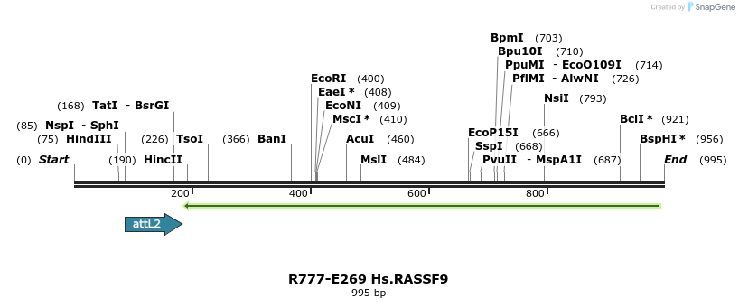 130573_map