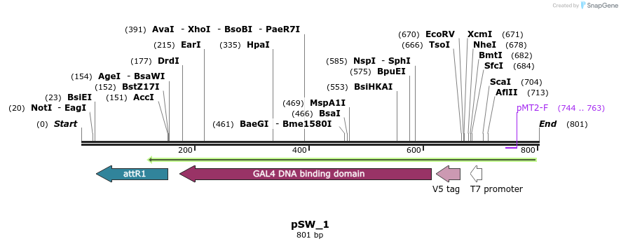 130574_map