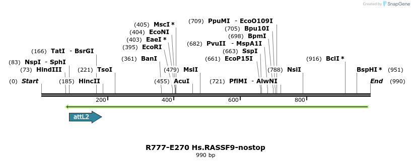 130576_map