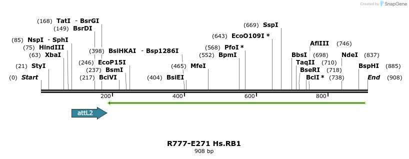 130577_map