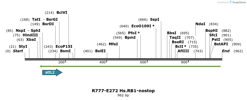 130578_map