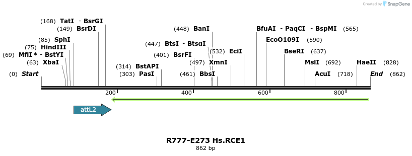 130579_map