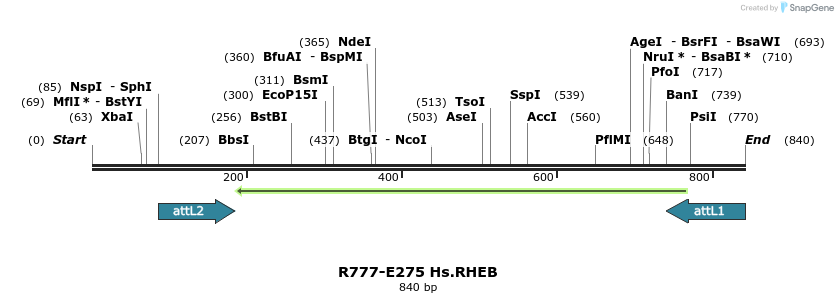 130581_map