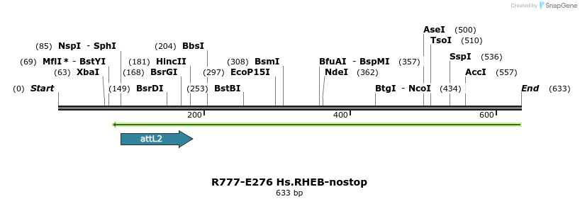 130582_map