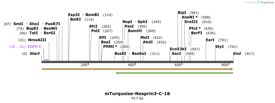130583_map