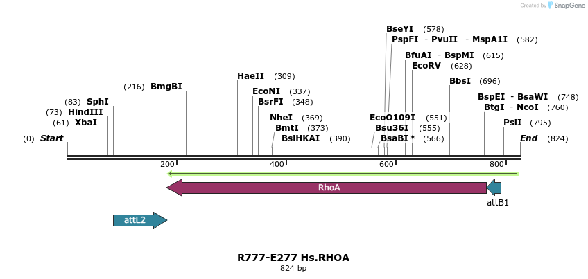 130584_map