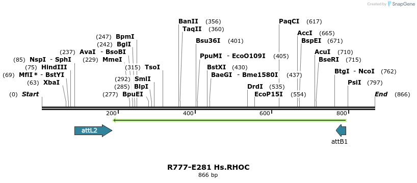 130589_map