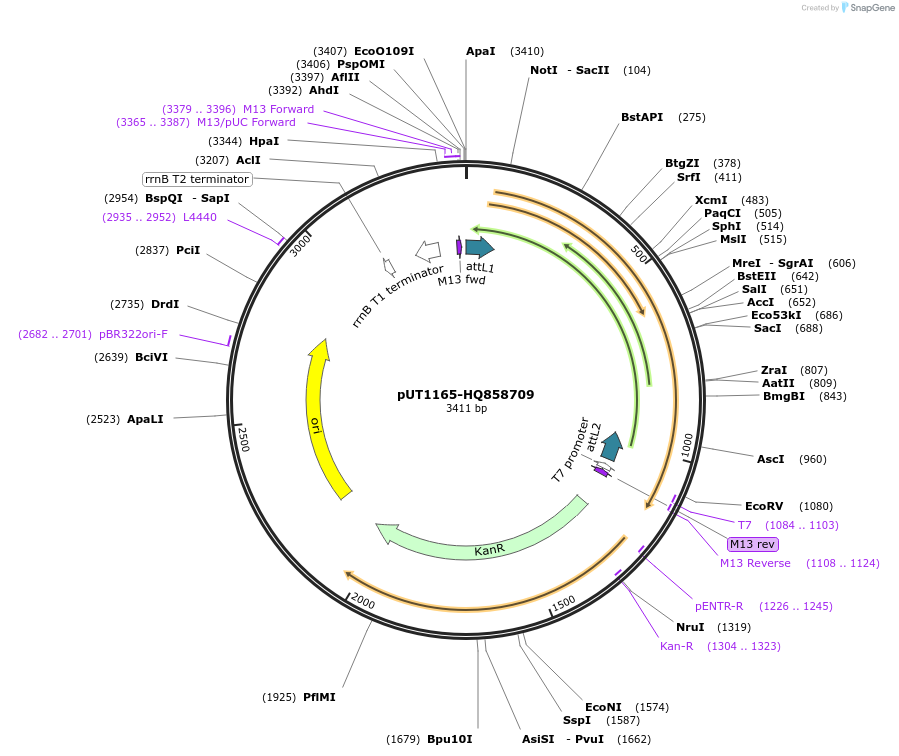 13059_map